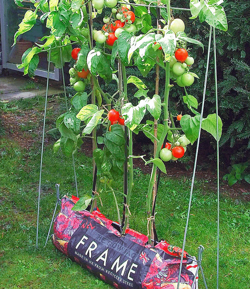 Rankgestell 'Plant & Grow'