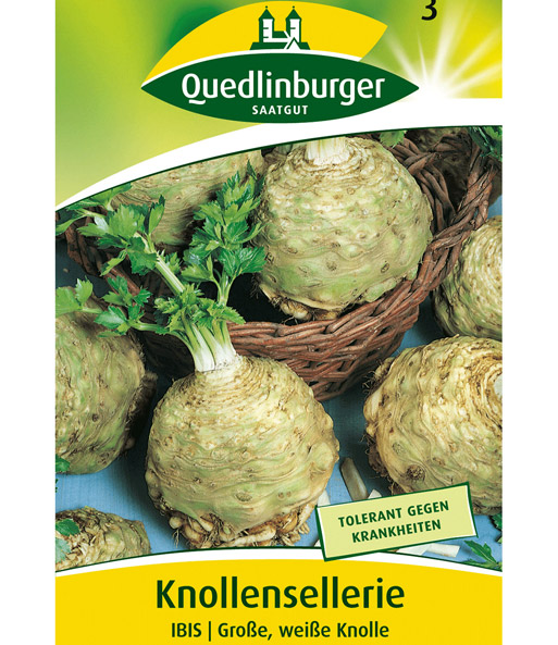 Knollen-Sellerie 'Ibis'