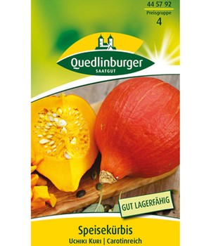 Speisekürbis 'Uchiki Kuri'