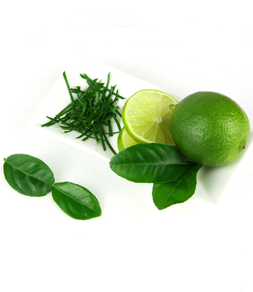 Gewürz-Limette Kaffir