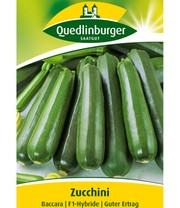Zucchini 'Baccara' F1