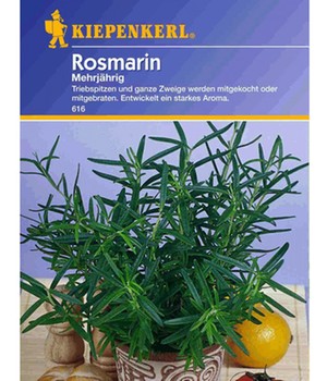 Rosmarin 