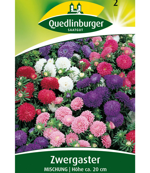 Zwerg-Astern-Mischung