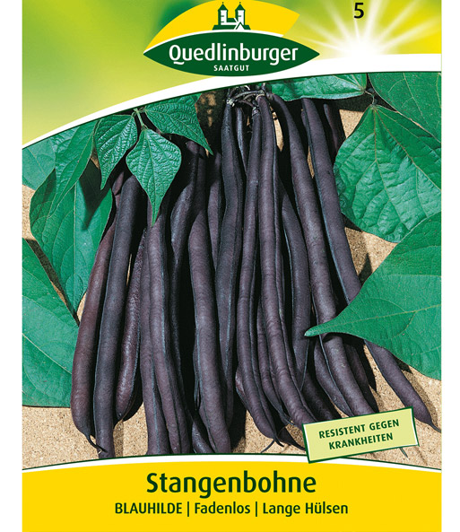 Stangenbohnen 'Blauhilde'