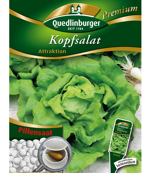 Kopfsalat 'Attraktion' Pillensaat