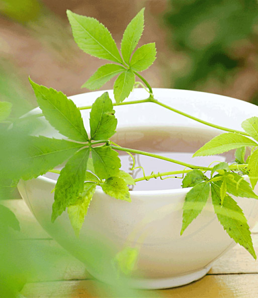 Teile des Jiaogulan zieren eine Schüssel Suppe auf einer Terrasse.