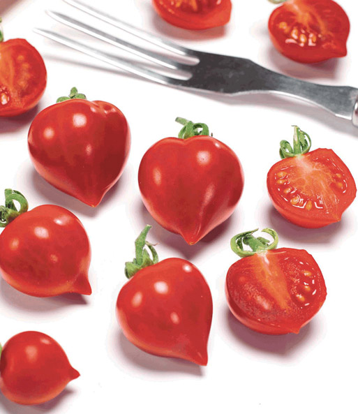 Herz-Tomaten-Pflanze Heartbreakers® 'Vita' F1