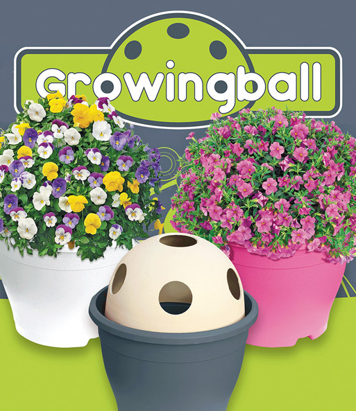 Growingball 'Pink'