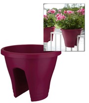 Corsica Flower Bridge® cherry, 30 cm ø