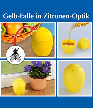 Gelb-Falle in Zitronen-Optik