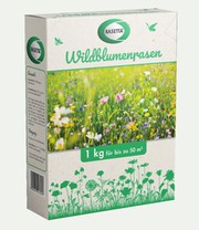 Wildblumen-Rasen