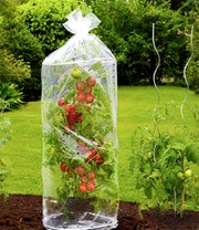 Tomaten-Reifehaube 2er-Set