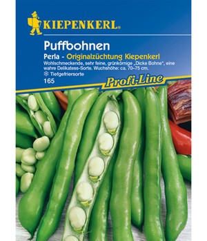Puffbohne 'Perla'